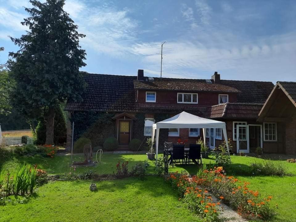 Am Alten Haus Altenmedingen Exterior photo